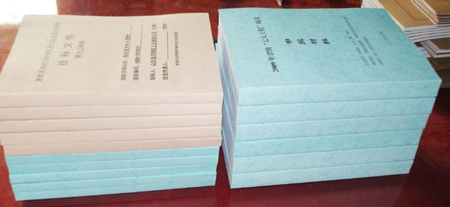 標(biāo)書的翻譯要求及收費標(biāo)準(zhǔn)